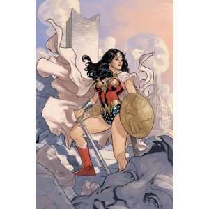   Woman #13 Poster (Rolled) By Terry Dodson & Rachel Dodson 24 x 36