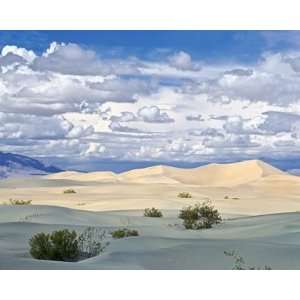  Death Valley Dunes Wall Mural