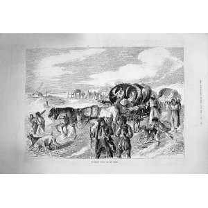   1874 Hungarian Gipsies Tramp Waggons Horses Old Print