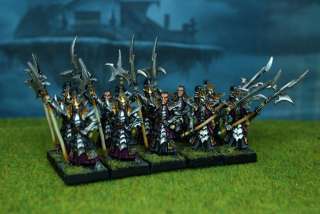 Warhammer MPG Painted Dark Elf Black Guards DE26  