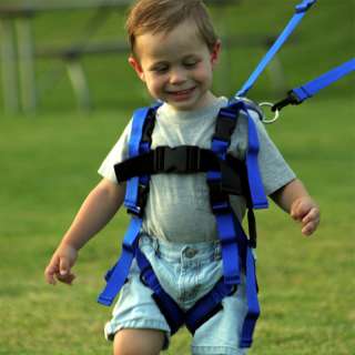 is an economical and portable gait training harness for therapists 