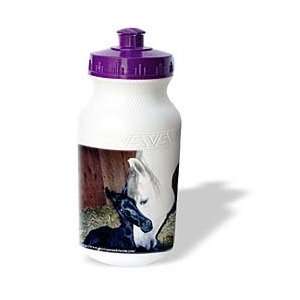  Horse   Andalusian Mare and Foal   Water Bottles Sports 