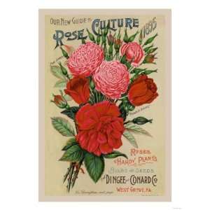  Our New Guide to Rose Culture, 1895 Giclee Poster Print 