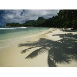 Palm Tree Shadows on a Beach with Gentle Surf and Mountain Backdrop 