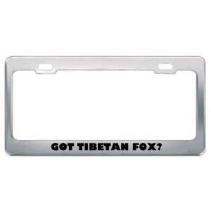 Got Tibetan Fox? Animals Pets Metal License Plate Frame Holder Border 