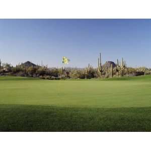  Golf Flag in a Golf Course, Troon North Golf Club, Scottsdale 