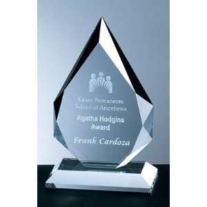   Optical Crystal Flame Award   Large   Corporate Award