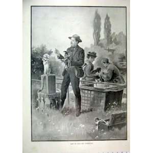  1895 Toby Puppet Man Dog Perform Country Scene Print