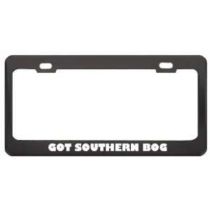 Got Southern Bog Lemming? Animals Pets Black Metal License Plate Frame 