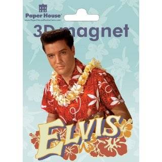 Paper House 3D Magnets, Elvis