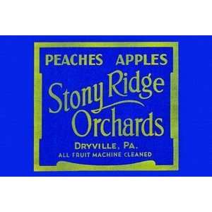 Stony Ridge Orchards Peaches & Apples   12x18 Gallery Wrapped Canvas 