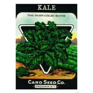  Kale Seed Packet Premium Poster Print