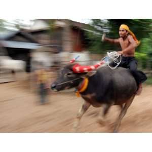  A Cambodian Boy Rides on His Buffalo Through a Village 