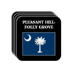 US State Flag   PLEASANT HILL FOLLY GROVE, South Carolina (SC) Set of 