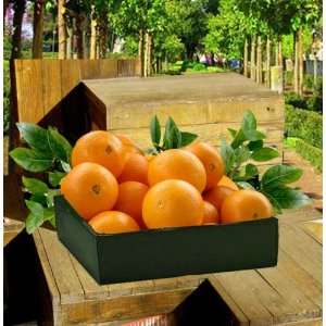 Citrus Fest  Orange Lovers Gift Box Grocery & Gourmet Food