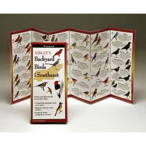     Sibleys Backyard Birds Southeast   78 Species 