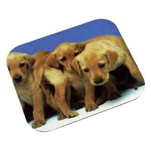    Foam Mouse Pad with Labrador Puppies 6 Pack