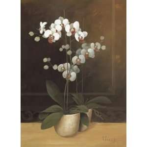  Tropic Orchids I by Franz Heigl 12x16
