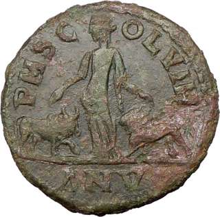   Viminacium Sestertius LEGIONS Ancient Roman Coin Moesia BULL LION