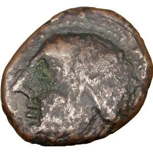   Spain Neptune Dolphin Roman Authentic Ancient Rare Greek Coin 1stC BC