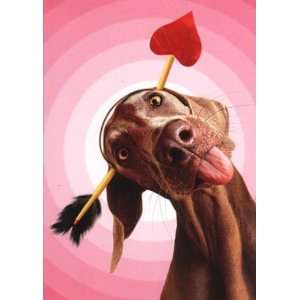  Cupid Weimaraner Valentines Day Card Health & Personal 