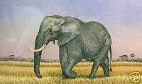 Mary Ann Lis Wanderer   Elephant; Handcolored etching  
