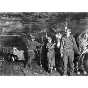  Drivers and Mules Coal Mine Gary, West Virginia 1908 8 1/2 