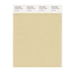  PANTONE SMART 13 0715X Color Swatch Card, Sea Mist