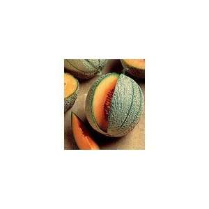  Melon French Orange Hybrid Patio, Lawn & Garden