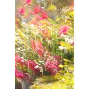  Print of Impressionistic Flowers on Canvas