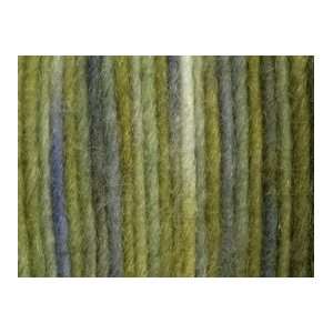  Araucania Yarn Aysen  827 Pea Green Arts, Crafts & Sewing