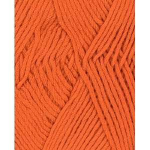    Berroco Comfort Yarn 9731 Kidz Orange Arts, Crafts & Sewing