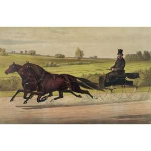   Card Horse Racing and Trotting Small Hopes and Lady Mac Vintage Image