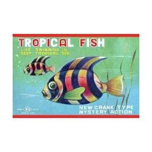  Tropical Fish 20x30 poster
