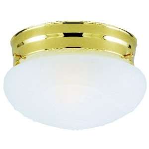  6667800 Westinghouse lighting