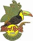 Bromeliad Neo Toucan Bird Rock Tropicals Bullis GNOBS  