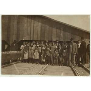   Little Nettie,Alabama Canning Co.,Bayou La Batre, AL