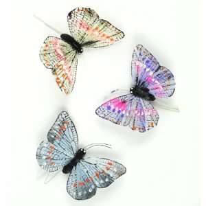  Touch of Nature 23036 Feather Butterfly Embellishment, 2 3 