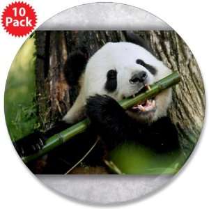  3.5 Button (10 Pack) Panda Bear Eating 