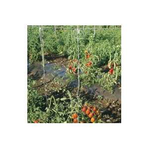  Davids Garden Tool Tomato Trellis Twine Nylon 1,000 Foot 