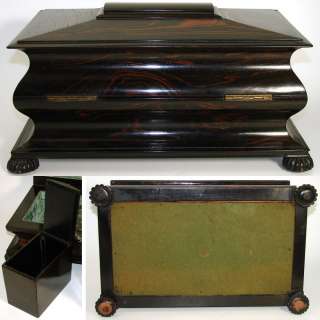 Fab Antique Victorian Tiger or Rosewood 15 Double Well Tea Chest, Tea 