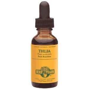  Thuja Herbal Extract