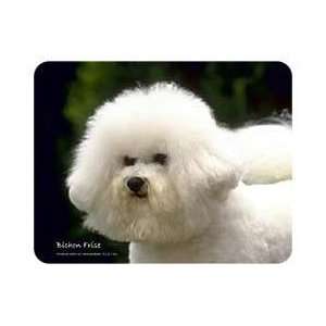  Bichon Frise Coasters