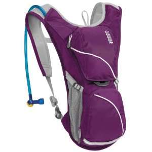   Aurora Imperial Purple 70 oz. Hydration System Backpack Automotive