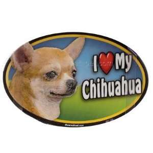  Dog Breed Image Magnet Oval Chihuahua Apple headed Pet 