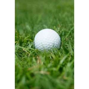  Golf ball in the Grass   Peel and Stick Wall Decal by 