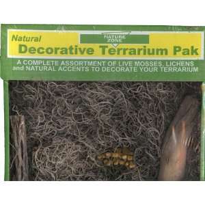 Terrarium Pack   Woodland 10 Gal 