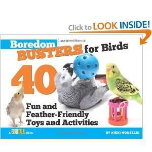  Boredom Busters for Birds 40 Fun and Feather Friendly 