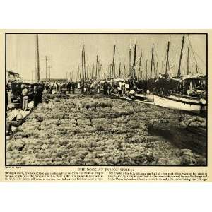 1931 Print Sponge Tarpon Springs Florida Fishing Fleet Edwin Hatch 