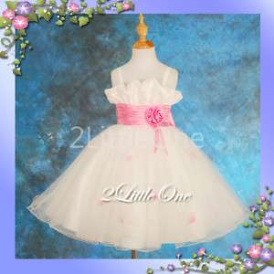Wedding Flower Girl Pageant Holiday Party Dresses 2T 11  
